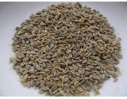 Parsley Seeds